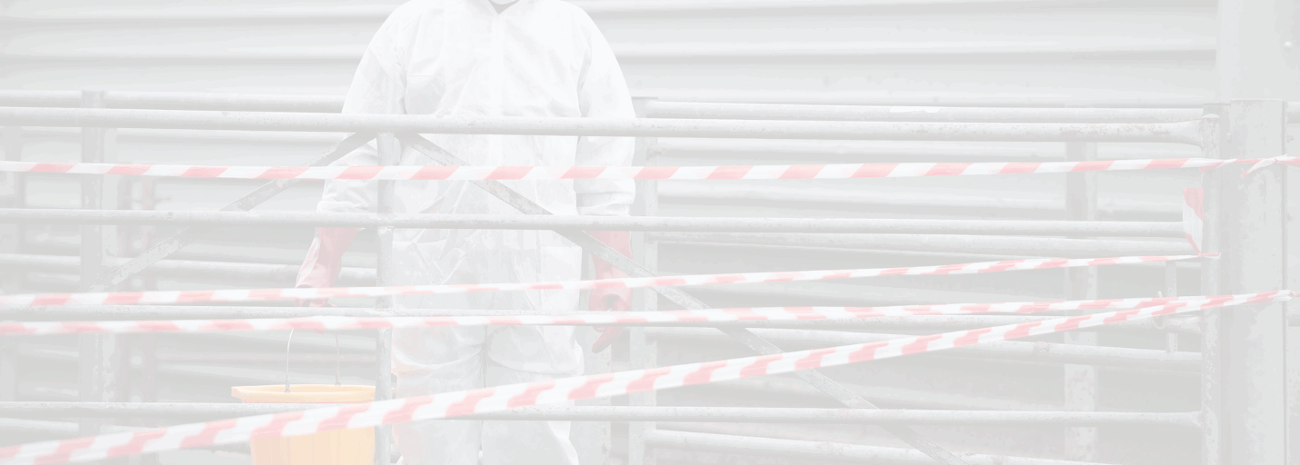 after death cleaning services chandler az